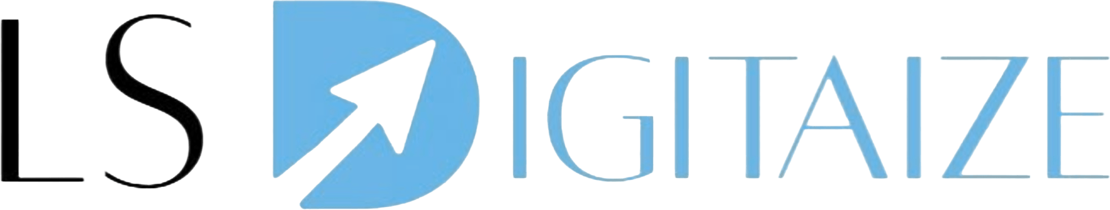 LS DigitAIze